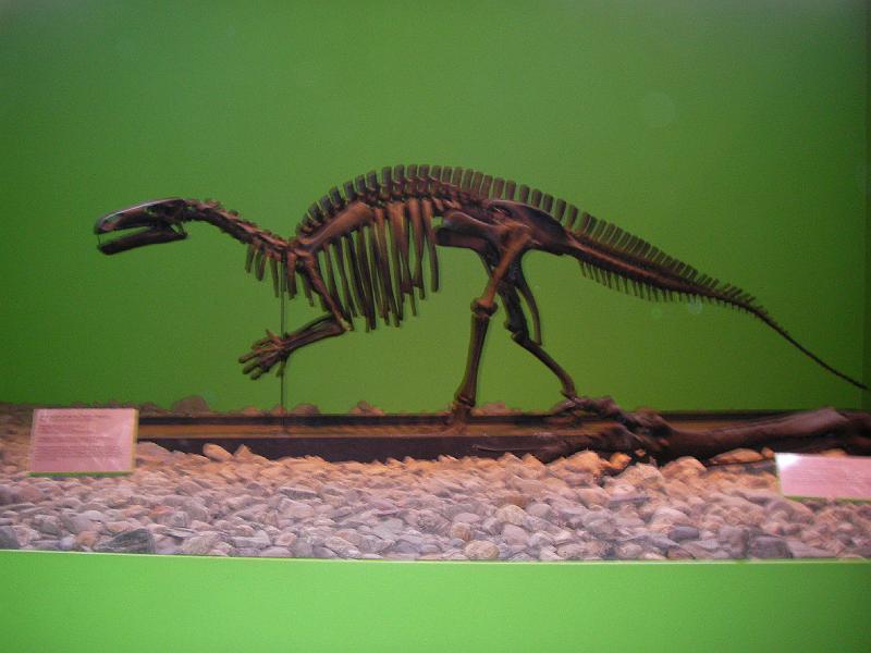 LV Zeltlager 2008 098.jpg